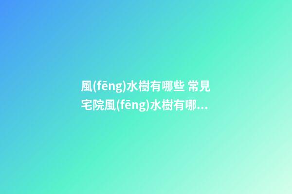 風(fēng)水樹有哪些 常見宅院風(fēng)水樹有哪些